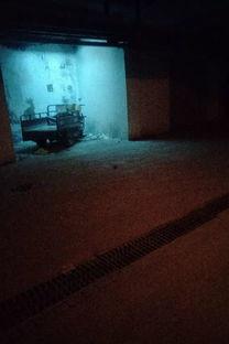 喧嚣最新爆料图片,独家图片揭秘幕后真相